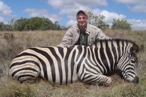Zebra Burchell's Zebra - What a beautifull stallion!