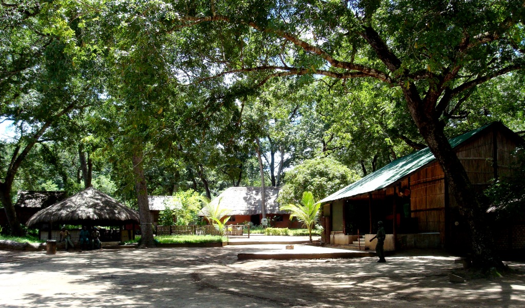 C12 Camp 014 (2) - Copy John X Safaris