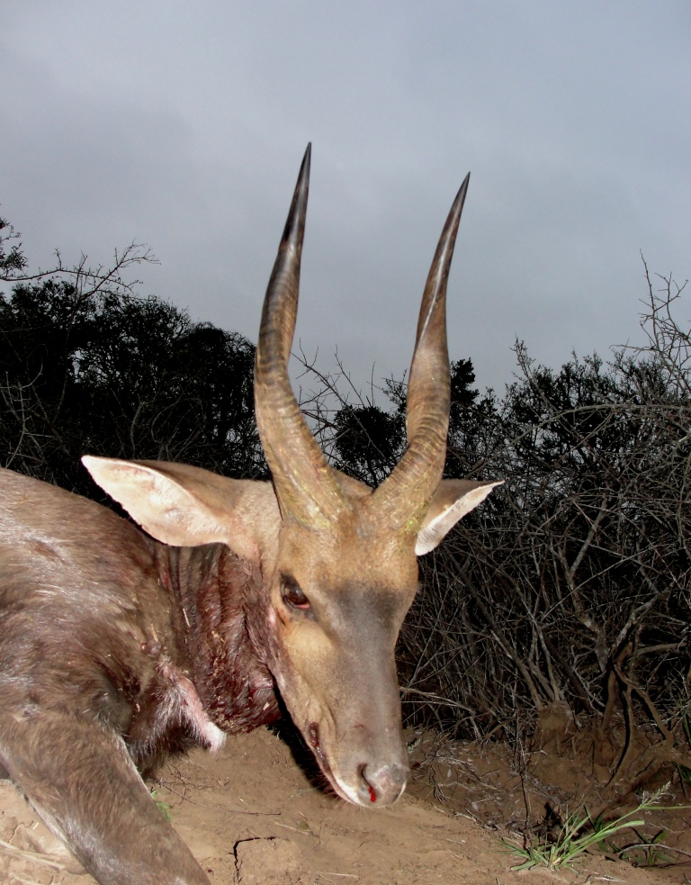 DSC01106 John X Safaris
