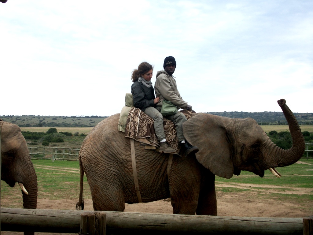 KONICA MINOLTA DIGITAL CAMERA John X Safaris