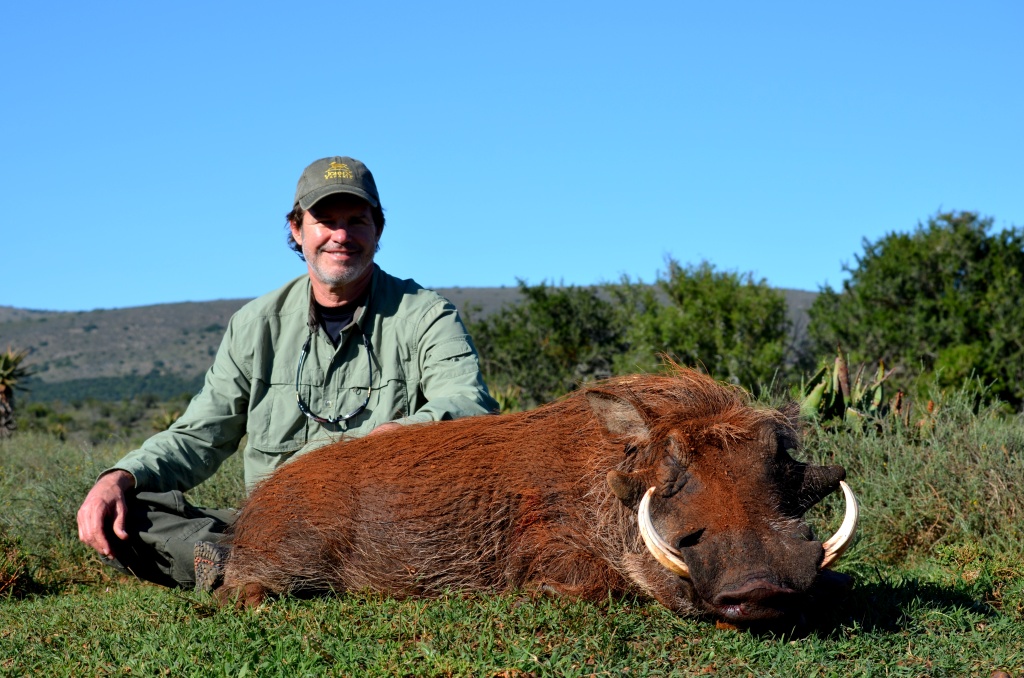  With a steady breeze and decent cover we were able to get within 100 yards of our pig, not a Kudu, let alone the Warthog even knew we were there until the 300 WinMag roared into life. Randy's African safari was off to a great start! 