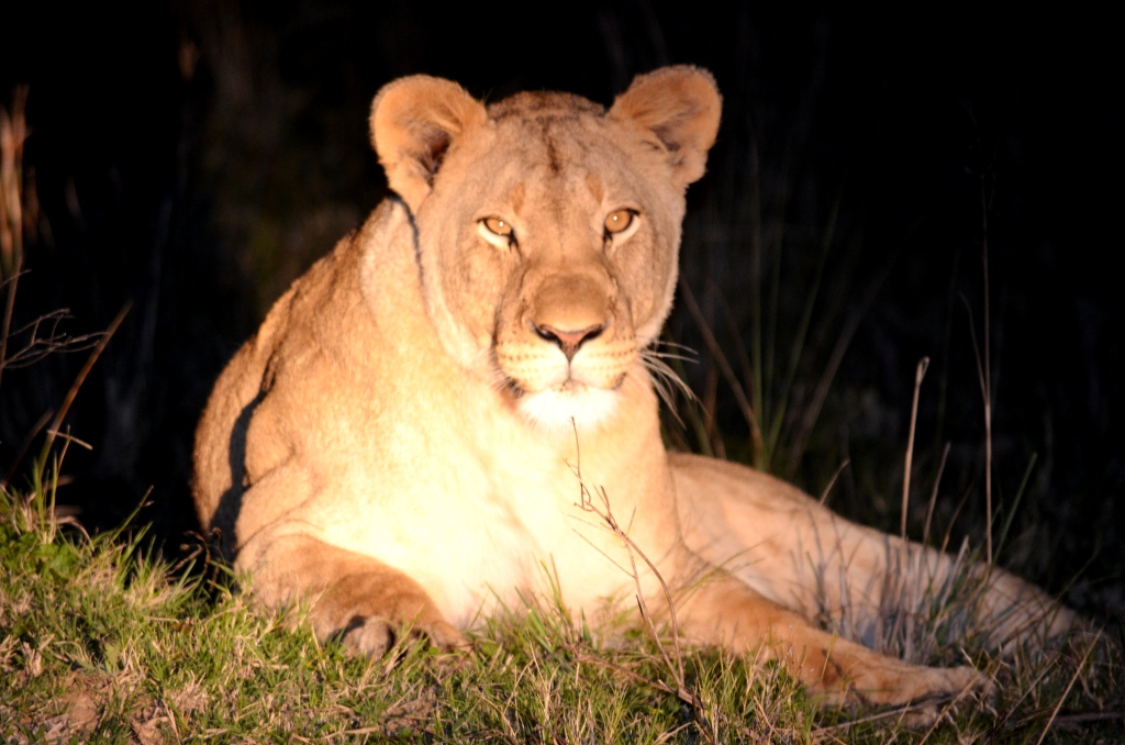Emily had opted for a day of R&R while us boys were out hunting. Something tells me she enjoyed a pretty successful day of R&R with the camera too! 