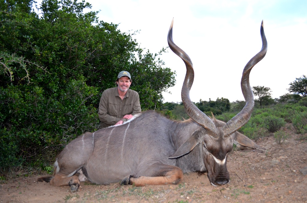 Perfect in ever way..... An old warrior past his prime. The perfect bull to take. 