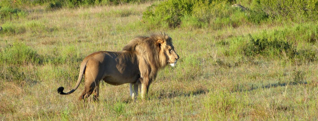 P1010645 John X Safaris