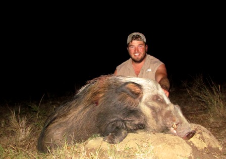 Bushpig Bushpig
