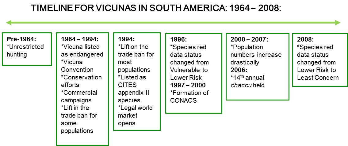Vicuna_06 John X Safaris