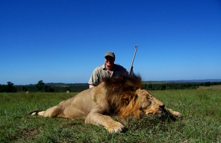 Lion Lion