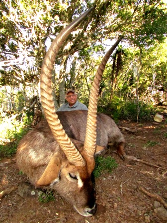 Waterbuck Waterbuck