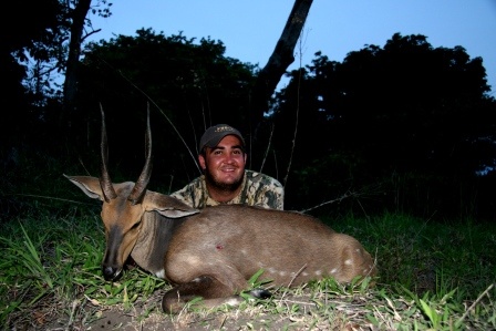 Chobe Bushbuck