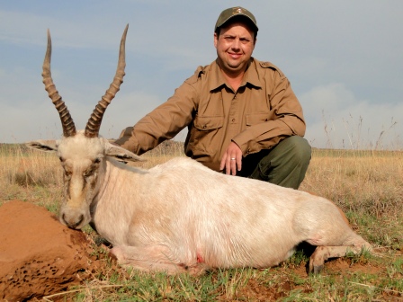 White Blesbuck White Blesbuck