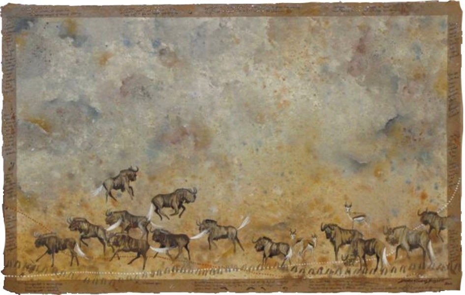 John X Safaris
