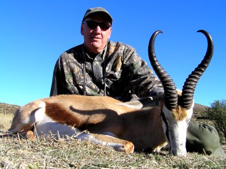 Kalahari Springbuck Kalahari Springbuck