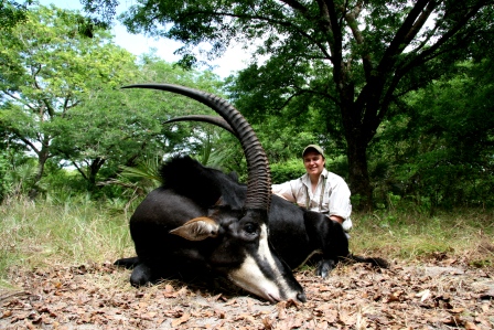 Sable Bull
