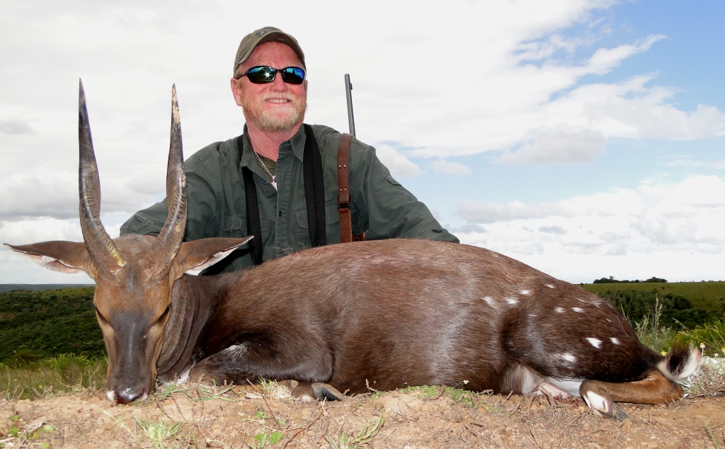 Cape Bushbuck John X Safaris