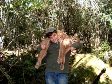 Caracal Caracal