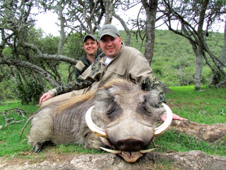 Warthog Warthog