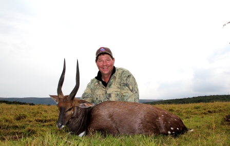 Cape Bushbuck Cape Bushbuck