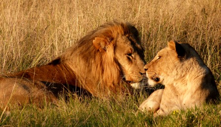 P1000291 John X Safaris