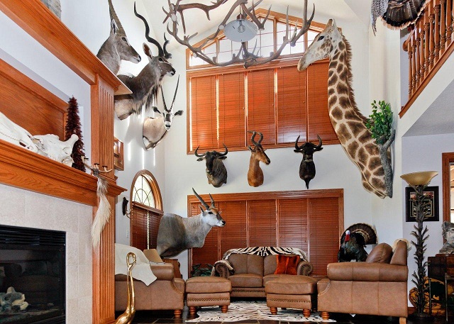 Giraffe Room