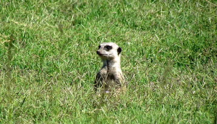 Photo_01 John X Safaris