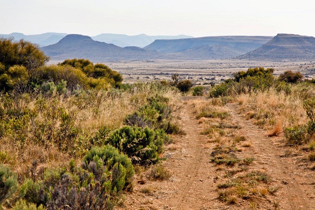 Karoo