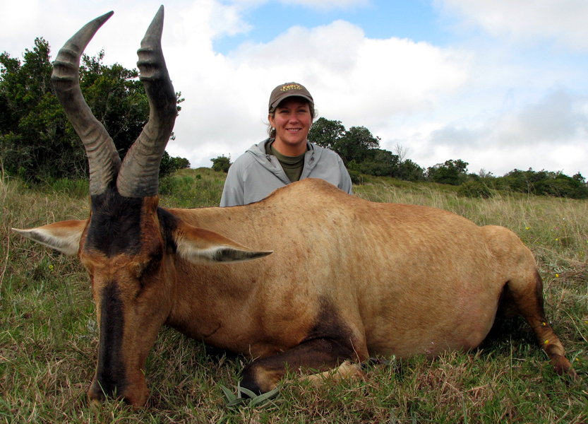 Hartebeest Hartebeest