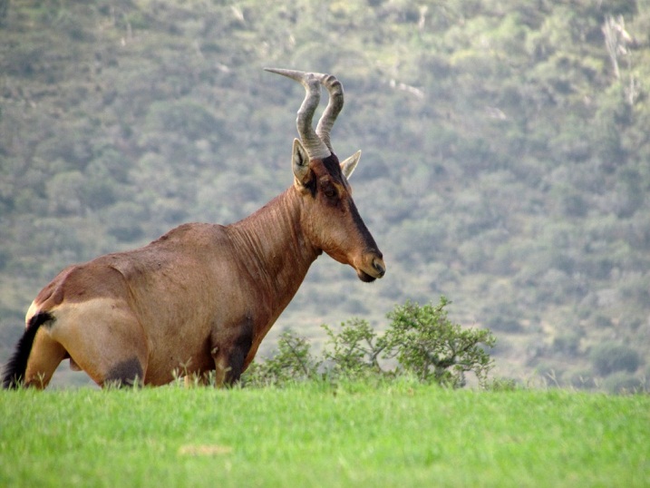 Photo_09 John X Safaris