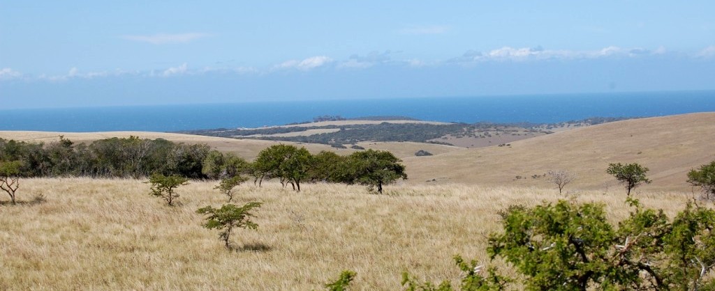 Coastal Scenery 1 John X Safaris
