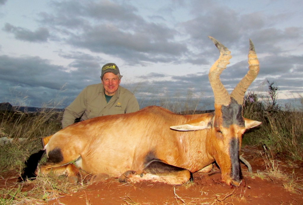 Hartebeest Photo_14 John X Safaris