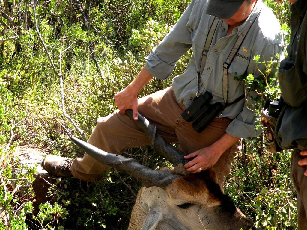 John X Safaris