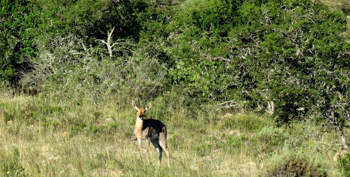 Photo_22 John X Safaris