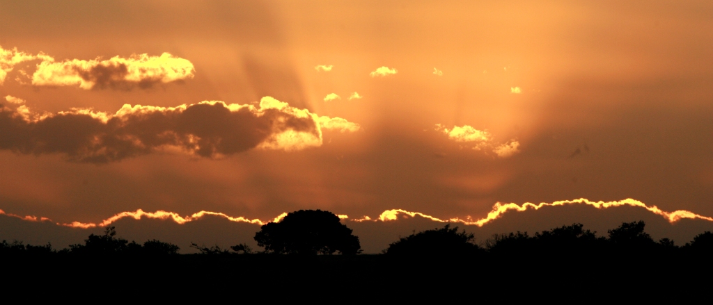 Sunset Photo_20 John X Safaris