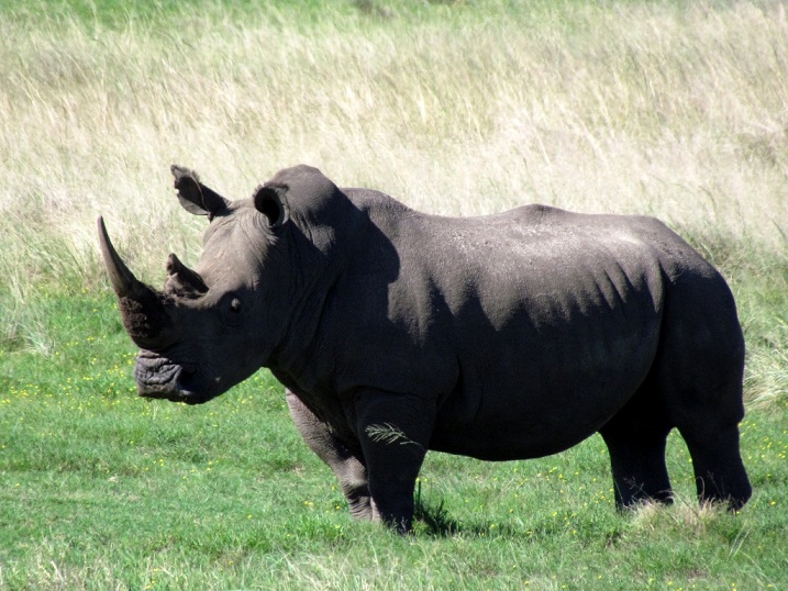 Photo_27 John X Safaris