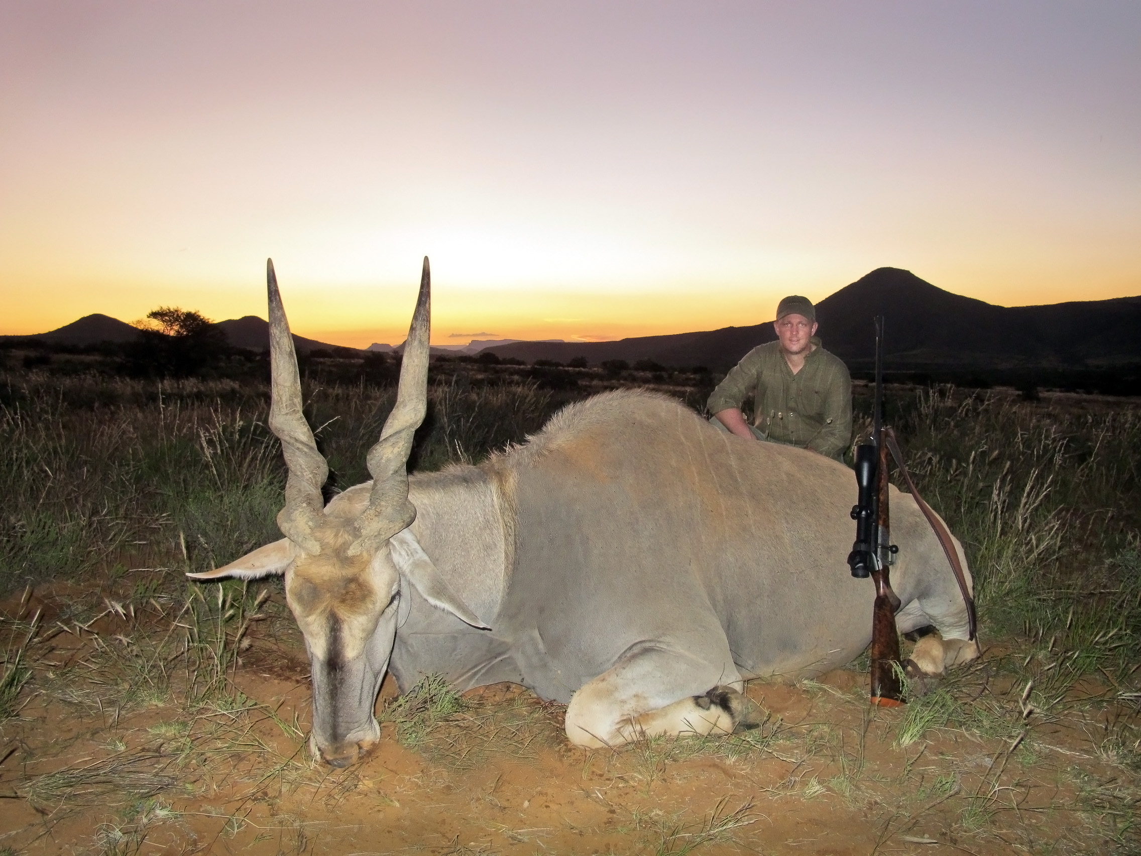 Eland edited by ChrisP John X Safaris