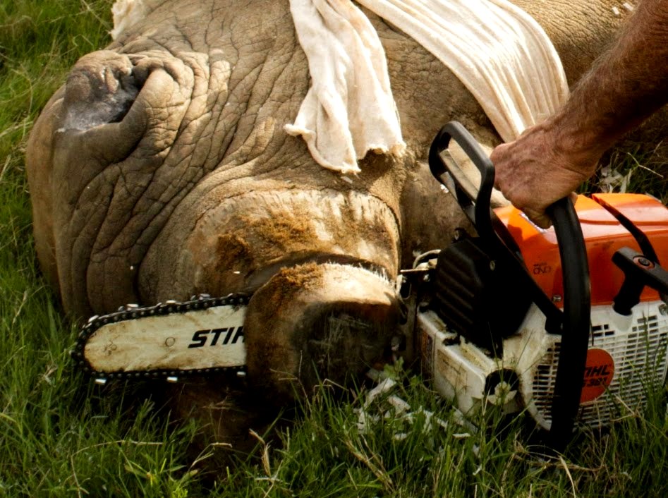 John X Safaris