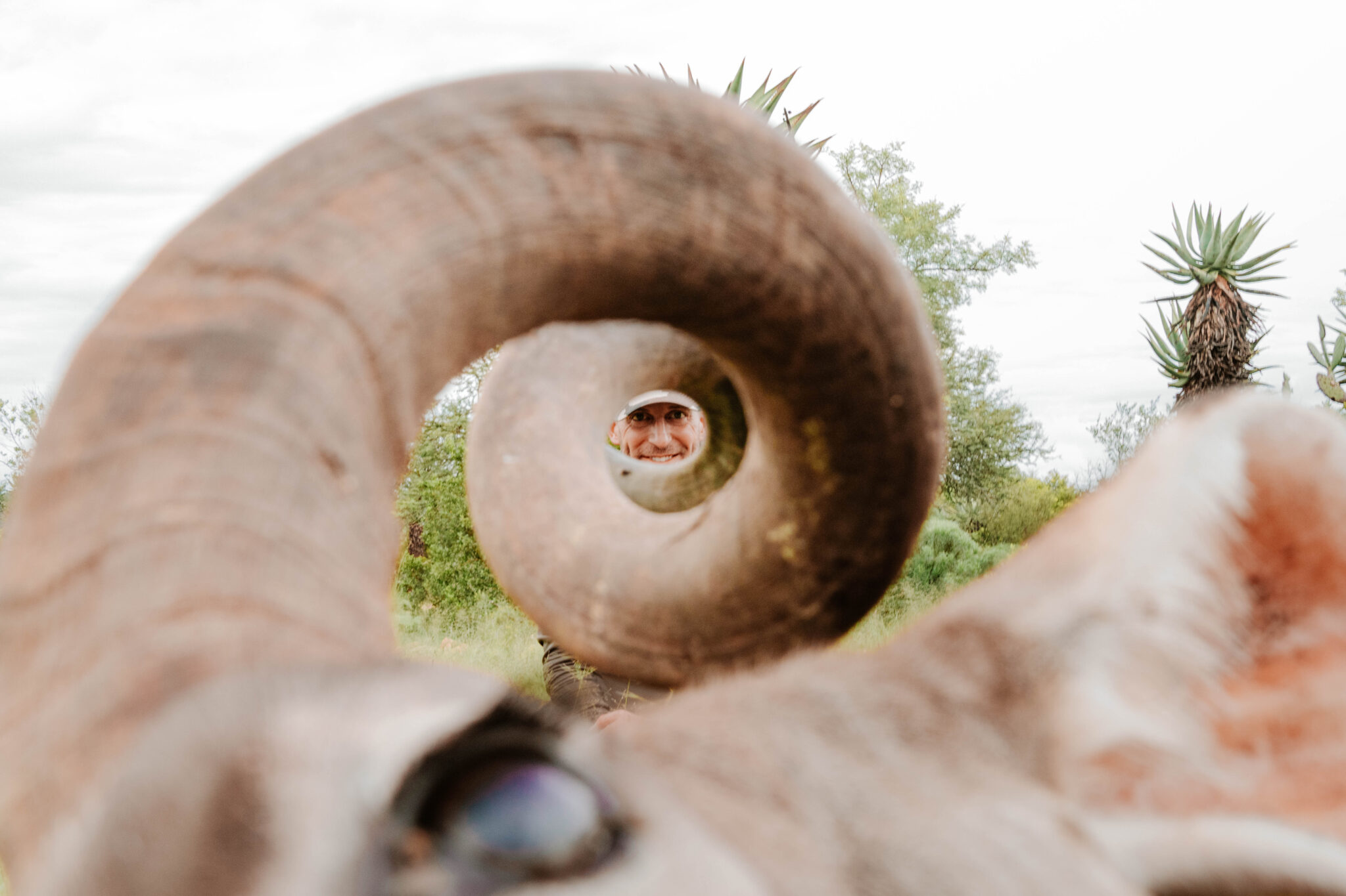 A Kudu from Jurassic Park