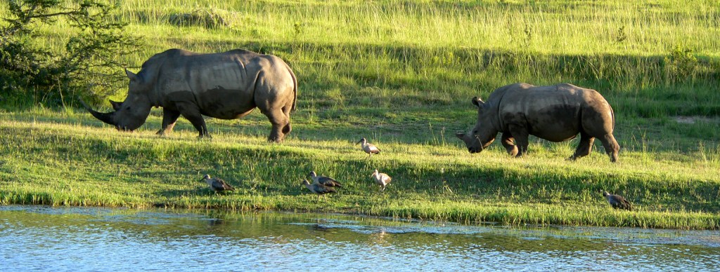 P1050268 John X Safaris