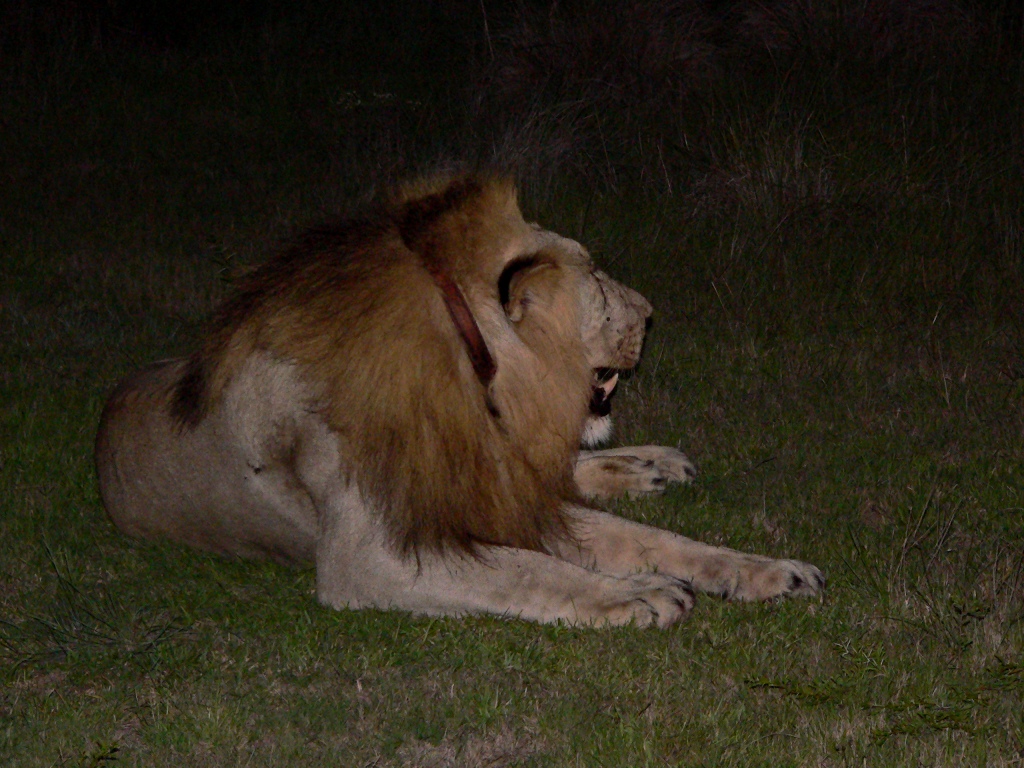 P1040465 John X Safaris